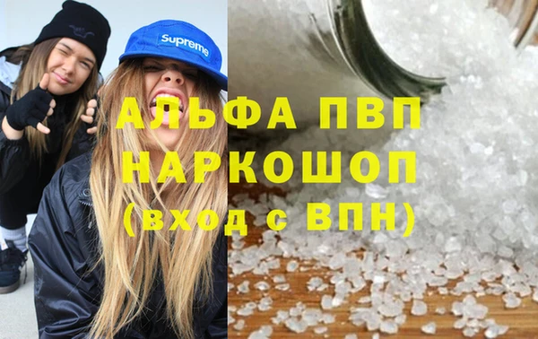 сатива Абаза