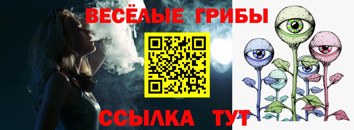 Псилоцибиновые грибы MAGIC MUSHROOMS Калининград